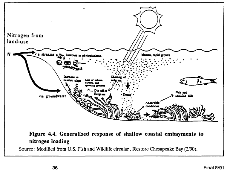 Aquatic Aquatic Ecosystems Worksheet