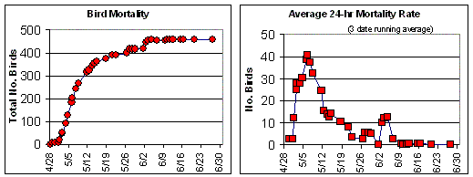 Bird Mortality