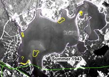 Eelgrass in Buttermilk Bay, summer of 1943