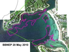 Eelgrass in Wild Harbor, BBNEP analysis of May 20, 2010 aerial photograph.