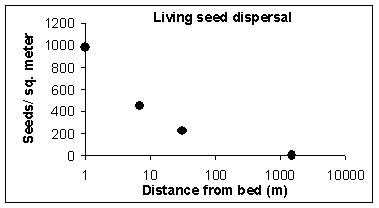 Seed dispersal of eelgrass over distance.