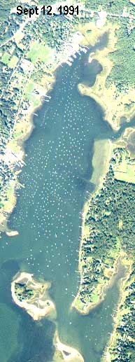 Dense mooring field in Sippican Harbor, Marion, MA