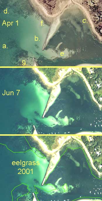 Comparison of April and June aerial photographs