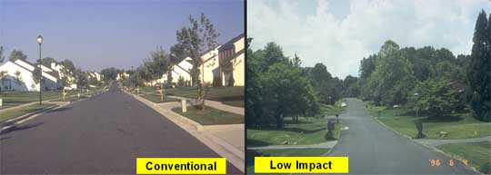 Example of Low Impact Development growth