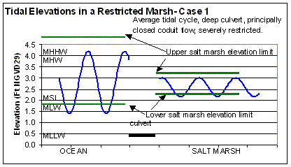 Conceptual model of tidal fluctuations in a restricted marsh- Case 1