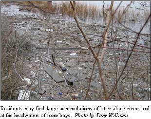 Litter along the coast of New Bedford