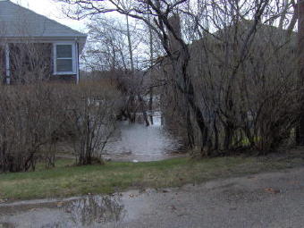 Flooding of homes along Gardner Rd. in Woods Hole.
