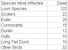 Bouchard No. 120 bird mortality list.