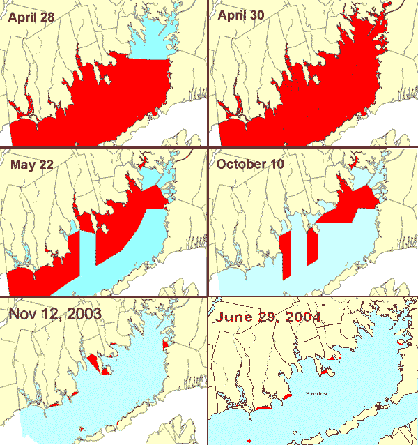 Shellfish beds closed in Buzzards Bay on 6 dates, 2003-2004.