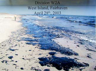 Number 6 Fuel oil washes ashore at West Island, Fairhaven, B120 oil spill