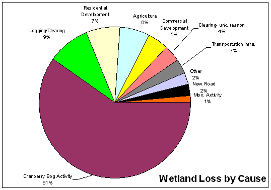 Causes of wetland loss in the Buzzards Bay watershed.