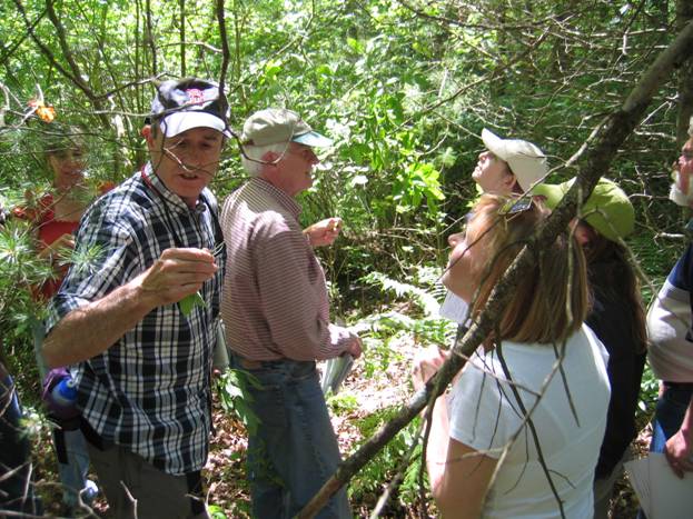 2009 Vegetation Class