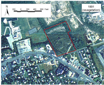 1991 aerial of Fairhaven Drive-in Theater site.