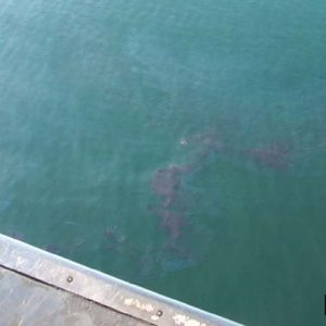 Bouchard oil spill slick