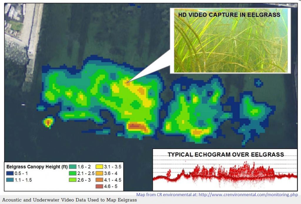 Acoustic mapping of eelgrass. From CR Environmental at http://www.crenvironmental.com/monitoring.php with permission.