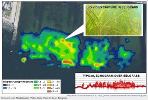 Acoustic mapping of eelgrass. From CR Environmental at http://www.crenvironmental.com/monitoring.php with permission.