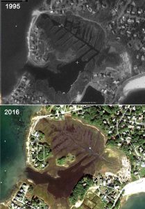 Comparison of the extent of Patuisset salt marsh in Bourne between March 1995 (top), and October 2016 (bottom.