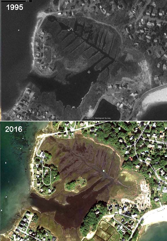 Comparison of the extent of Patuisset salt marsh in Bourne between March 1995 (top), and October 2016 (bottom.