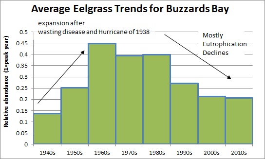 recent eelgrass trends in Buzzards Bay